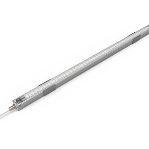 Đèn tube LED Tylo