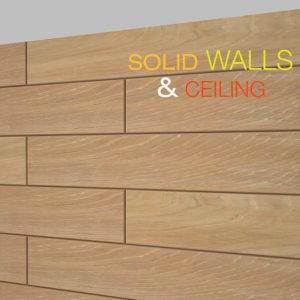 Solid Walls & Ceiling