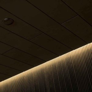 Dải đèn LED Tylo Silhouette 6 m.+ transf